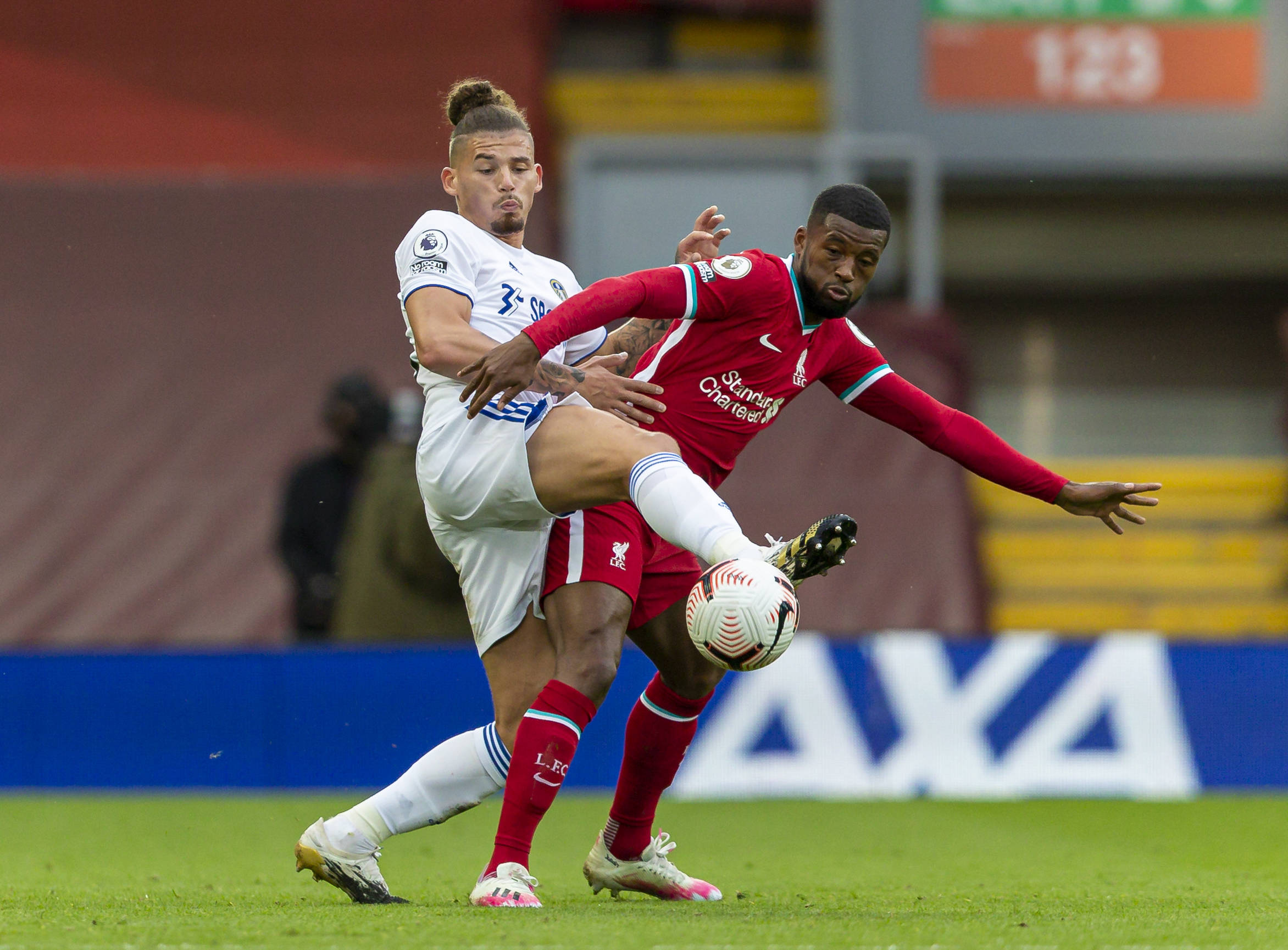 锤锤训练强 锤锤训练强