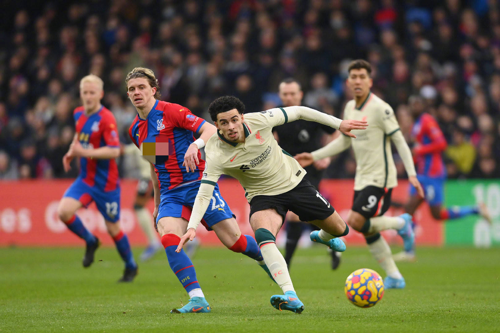 从案例看年 从案例看年